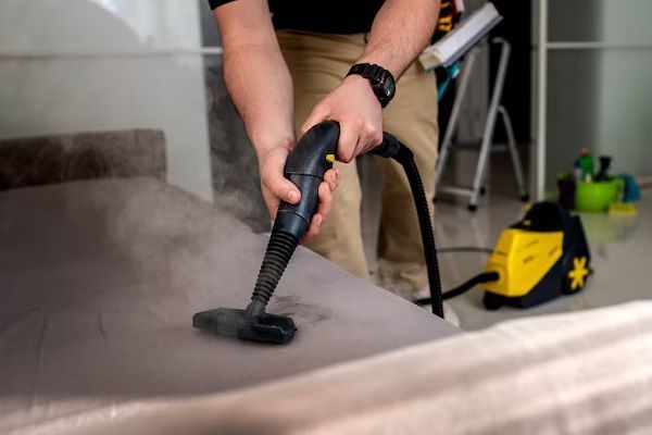 limpieza de muebles - Profesional de una empresa especializada en limpieza de tapicerías de muebles limpiando la tapicería de un sofá