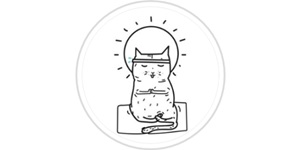Lugares para practicar yoga en CDMX - Logo del Centro Power Flow Yoga