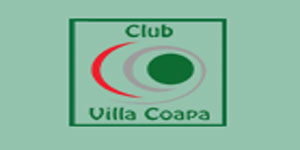 Identidad gráfica de Pole Dance Villa Coapa