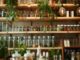 Tiendas naturistas CDMX - Estante de una tienda naturista con envases de productos orgánicos saludables