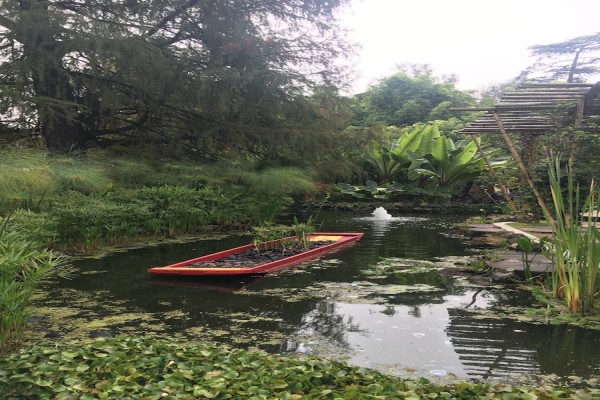Jardín Botánico de Chapultepec un paseo por un lugar idílico para los reyes de la casa