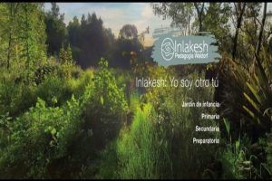 Escuelas Waldorf en CDMX - Identidad gráfica de Colegio Inlakesh CDMX
