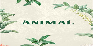 Identidad gráfica de Animal Masaryk 