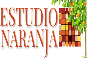 Logo del Colegio Estudio Naranja, institución comprometida con el desarrollo integral del niño