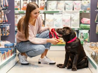 Tiendas de juguetes para perros - Mujer joven probando un collar para perros a su mascota en una tienda de Ciudad de México