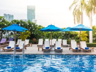 Hoteles con alberca en CDMX - Alberca al aire libre con sombrillas azules y tumbonas en el mejor hotel de CDMX