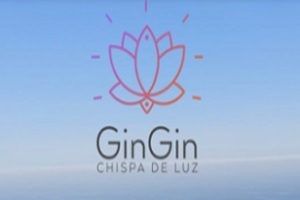 Gin Gin chispa de luz
