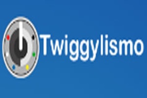 Escuela de Estilismo Twiggylismo