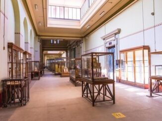 Mejores museos de CDMX - Interior de uno de los mejores museos de CDMX de interés cultural y destino turístico