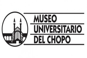 Biblioteca del Museo Universitario del Chopo