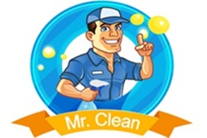 Mr. Clean CDMX