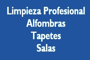 Lavado de Alfombras DF
