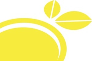 Lemon Beauty Lab
