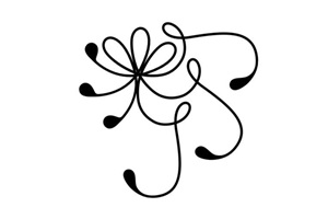 Academias de danza contemporánea - Logo de Academia de Danza Condesa, escuela de ritmos urbanos, ballet, jazz, danza contemporánea, danza árabe, yoga, hip hop y comercial dance en CDMX