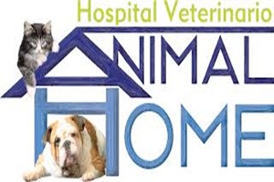Clínicas veterinarias - Logo Hospital Veterinario Animal Home México