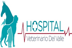 Clínicas veterinarias - Logo Hospital Veterinario Del Valle Ciudad de México