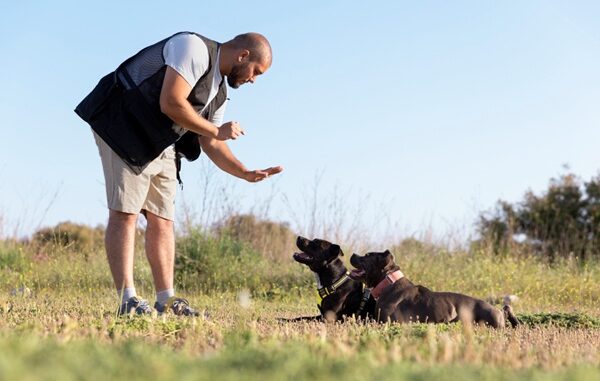 Entrenadores de perros - Hombre enseñado comportamiento a unos perros en un curso de los mejores entrenadores de perros en CDMX