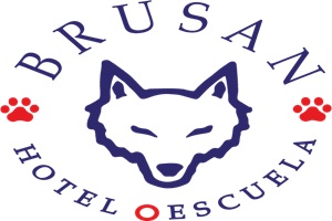 Logo de Brusan