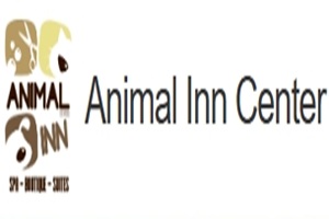 Hoteles para perros - Logo Animal Inn Condesa CDMX
