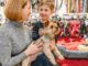 Tiendas para mascotas - Mujer y niño cargando un perro mientras visitan una de las mejores tiendas para mascotas en CDMX