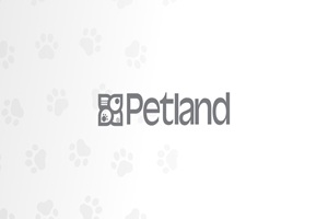 Logo Petland México
