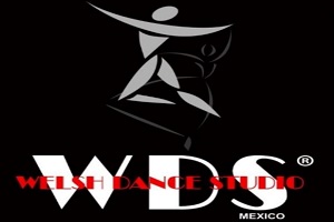 Las mejores academias de bachata en CDMX - Logo Welsh Dance Studio CDMX