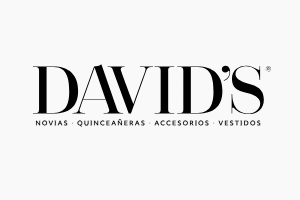 Logo David's Bridal