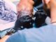 Los mejores estudios de tatuaje en CDMX - Tatuador trabajando en el brazo de un cliente. Se observa un diseño de tatuaje, que parece ser una calavera rodeada de cadenas.