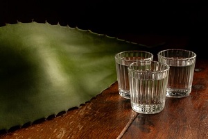 Mezcal de las bebidas típicas de México