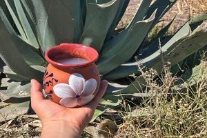 Pulque de las bebidas típicas de México