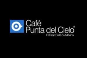 Logo Punta del Cielo