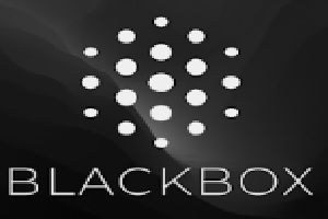 BLACKBOXAI