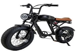Bicicleta Electrica Montaña Adultos Pedal Asistido 7 Vel