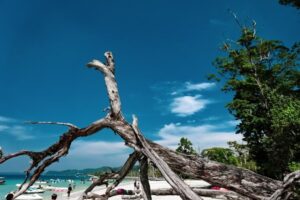 Puerto Marqués, Guerrero de las playas en México