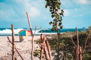 Tuxpan, Veracruz de las mejores playas en México