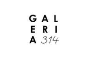 Galería 314