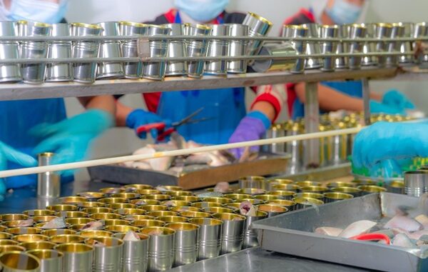 Alimentos enlatados - Línea de producción de alimentos en conserva de una de las mejores fábricas de comida enlatada en México