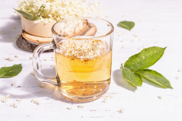 Infusiones - Infusión de tila una bebida herbaria muy popular en CDMX