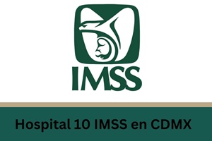 Atención psiquiátrica - Logo IMSS Hospital de Psiquiatría con UMF 10 en México