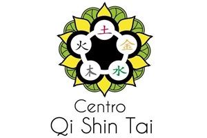 Logo Centro Qi Shin Tai México