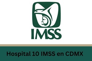 Unidades de psiquiatría - Logo IMSS Hospital de Psiquiatría con UMF 10 México